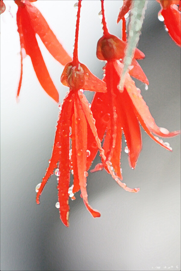 位圖寫(xiě)意花卉植物花朵免費(fèi)素材