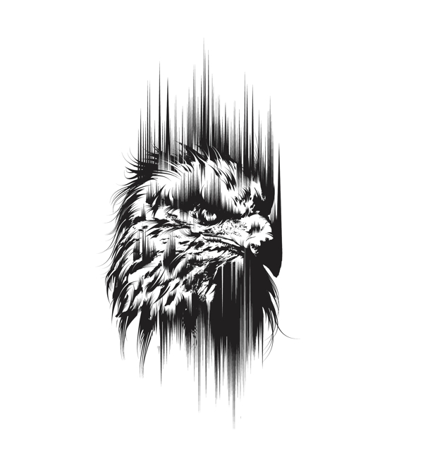 印花矢量圖動(dòng)物鳥類鷹羽毛免費(fèi)素材