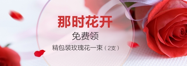 情人節(jié)玫瑰