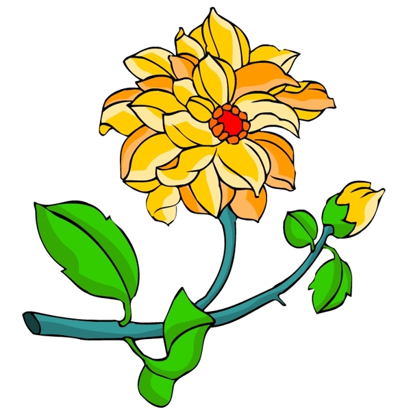 花卉古典插畫