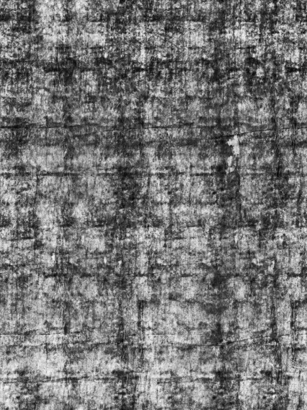Dypsisdecaryi三角椰子棕櫚017