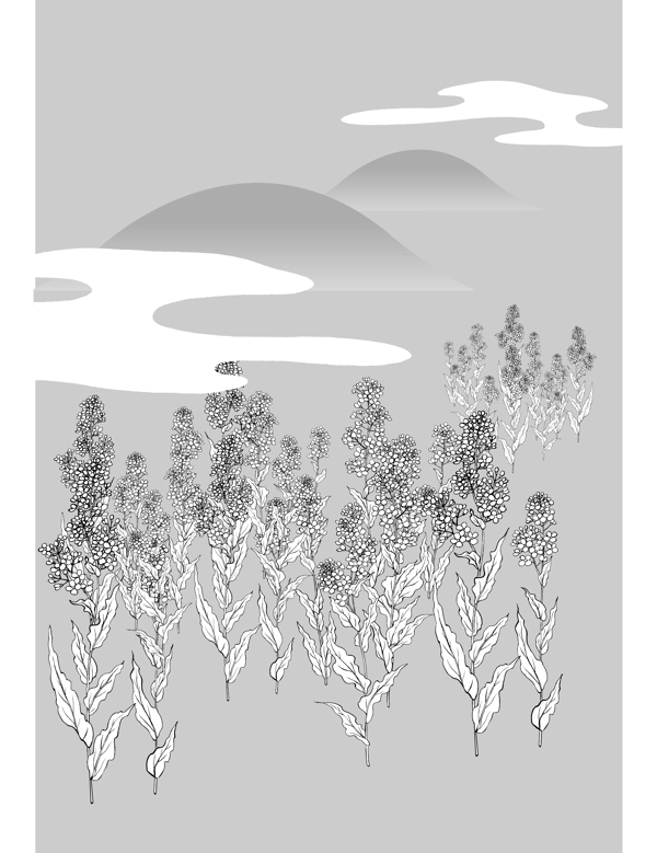 線描植物圖片