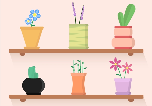 室内植物