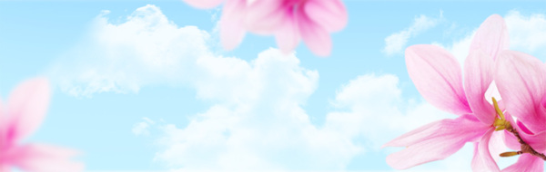 banner海報