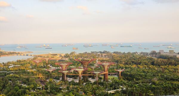 新加坡海滨湾公园