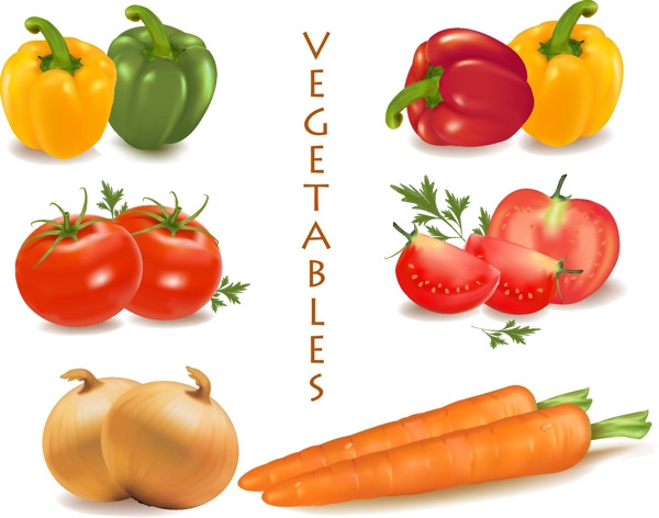 蔬菜矢量素材