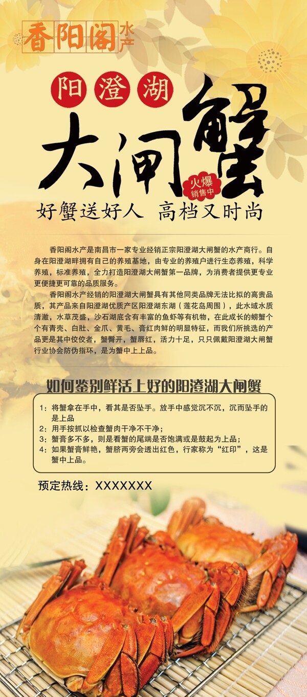 大閘蟹X展架