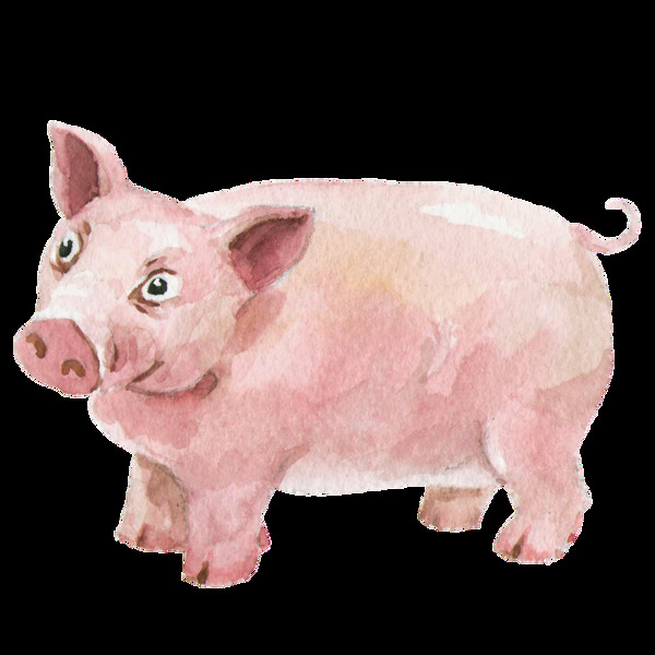 奇趣手绘粉红皮猪装饰图案