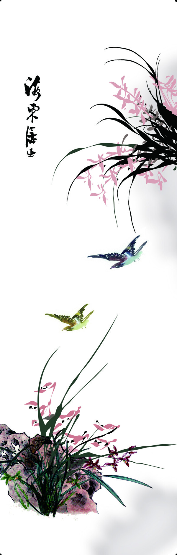 蘭花蝴蝶圖片
