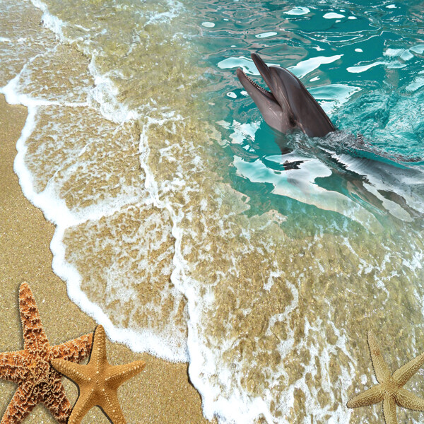 3D沙滩海豚高清图图片