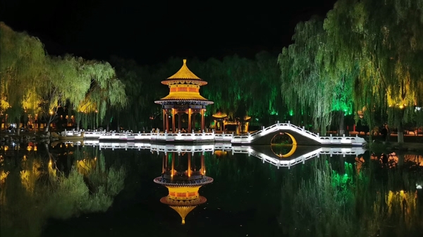 夜景園林