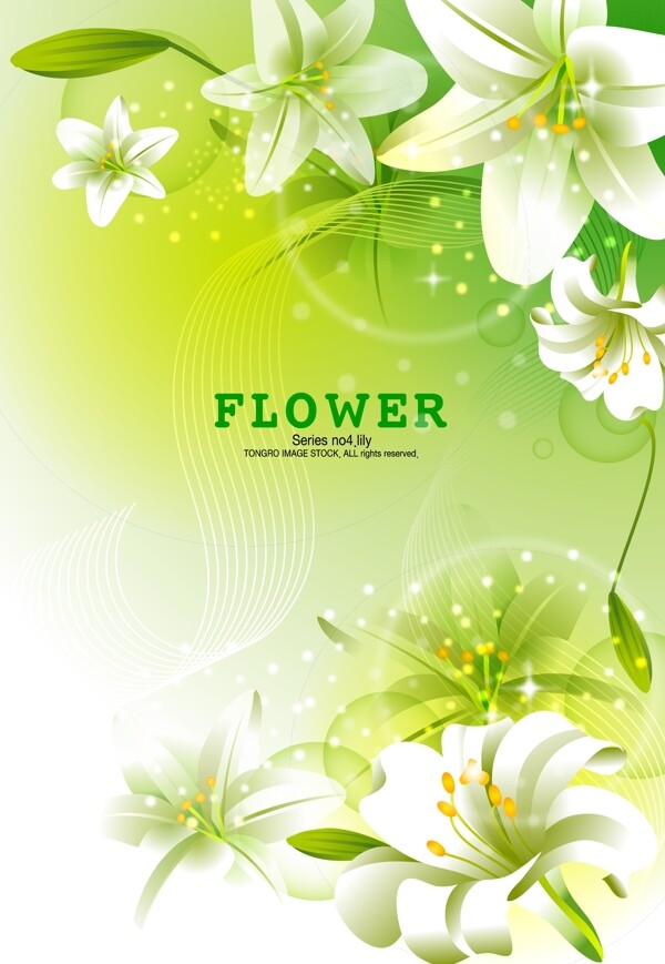 百合花背景矢量圖下載