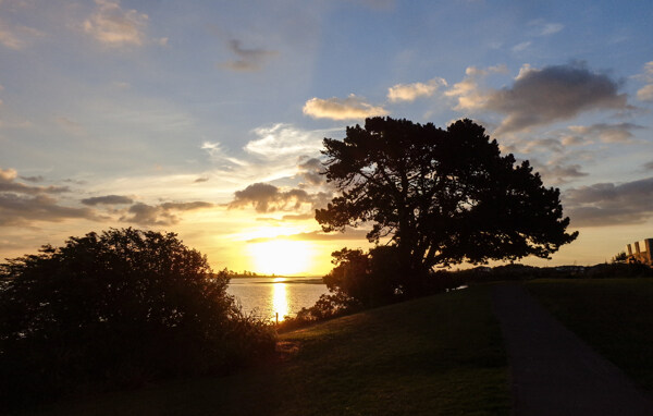 新西兰海滨夕阳风光