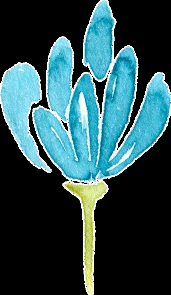 水藍(lán)枝葉卡通透明素材