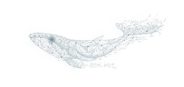 白色鲸鱼粒子科技背景