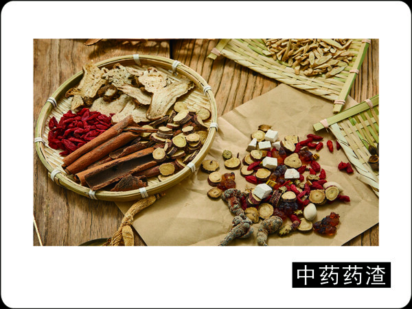 餐余垃圾