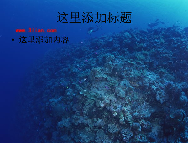 珊瑚礁風(fēng)景