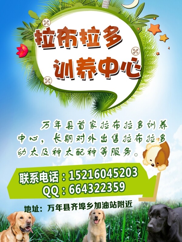 寵物狗訓(xùn)養(yǎng)中心