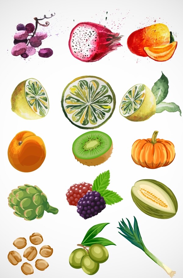 水果插畫