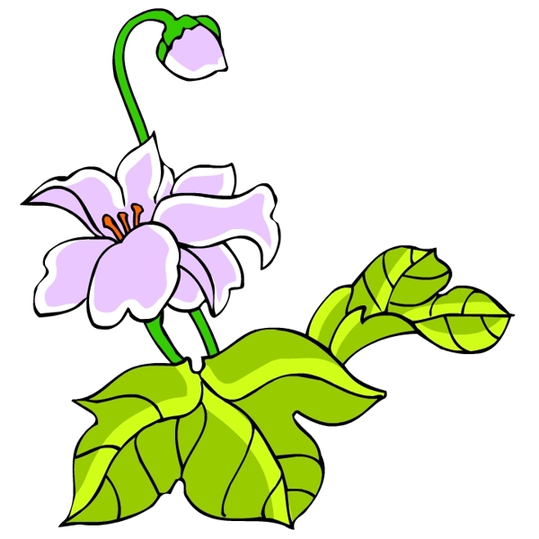 花卉古典插畫