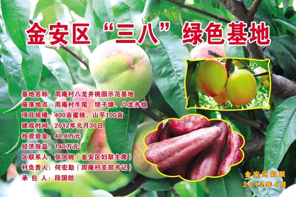 綠色基地