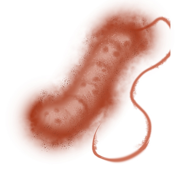 棕色的绒毛细菌插画