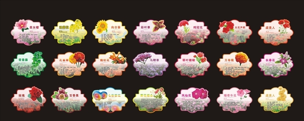 花牌植物牌各种花的介绍