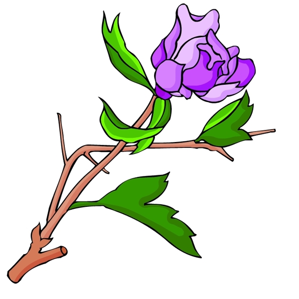 花卉古典插畫