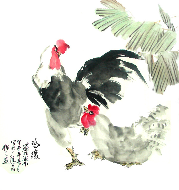 雞緣圖片