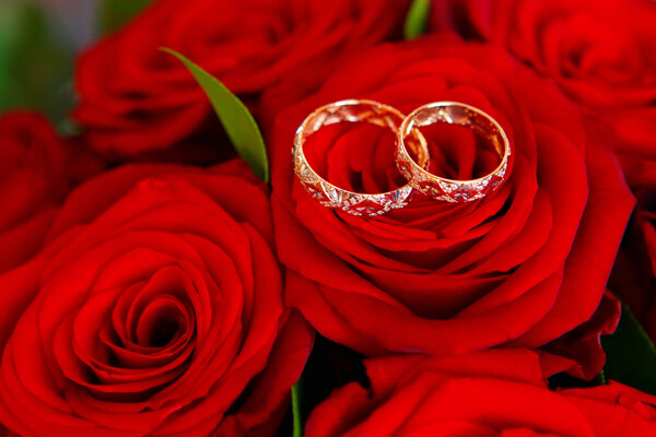 玫瑰花上的结婚对戒图片