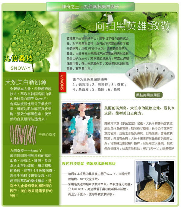 化妝品淘寶電商美妝洗護(hù)詳情頁(yè)模板素材
