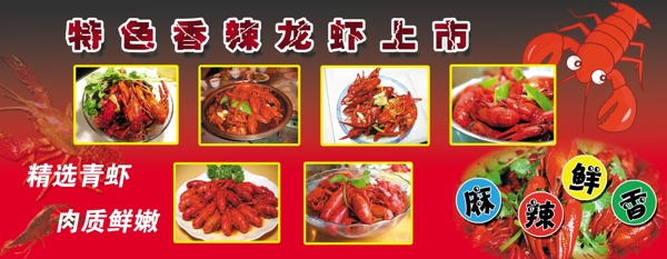龍蝦展板圖片