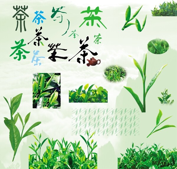 各種茶字和茶頭圖片