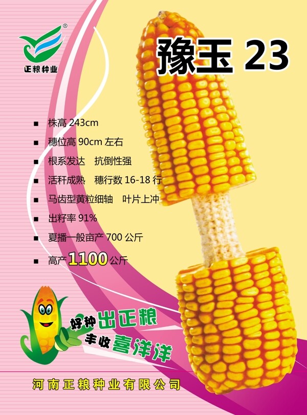 豫玉圖片