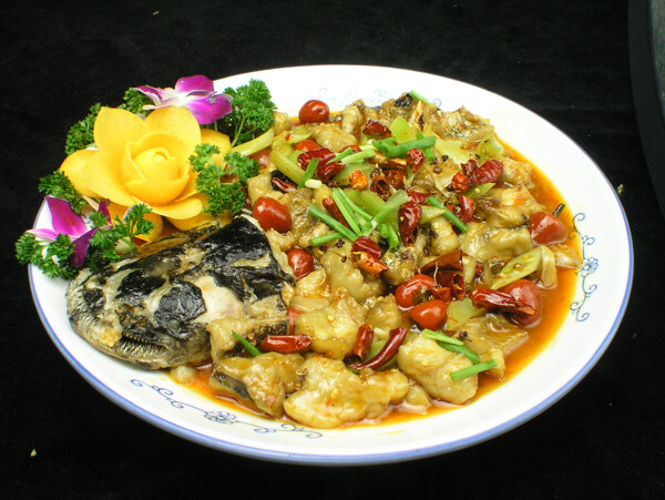 鰱魚(yú)