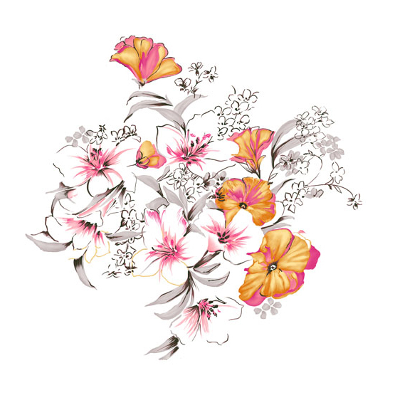 位圖植物寫意花卉花朵野花免費(fèi)素材