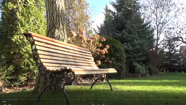 微风吹过公园里草地上孤独的长椅实拍视频