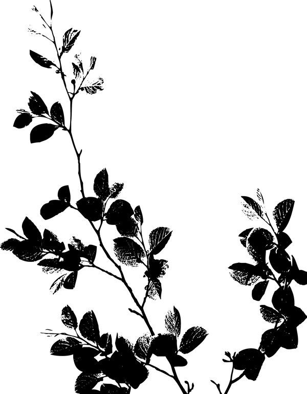枝葉矢量圖圖片