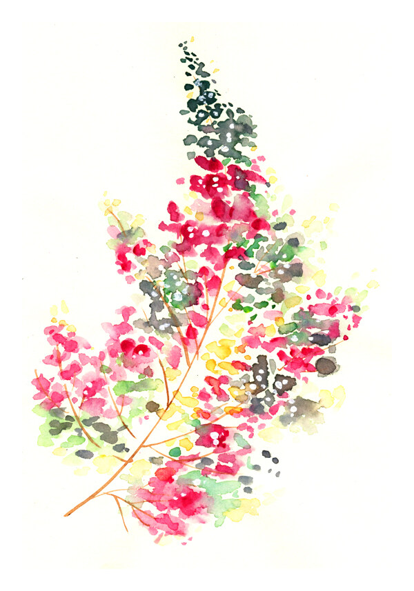 水彩花卉圖片
