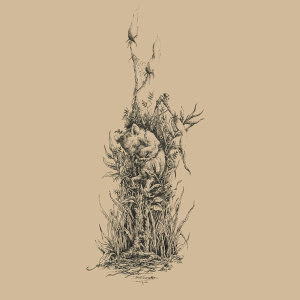 位圖插畫植物插畫插畫師Socar免費素材