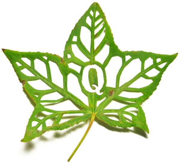 位圖插畫時尚插畫植物插畫藝術(shù)效果免費素材
