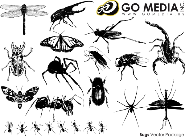 GoMedia出品矢量素材的昆蟲