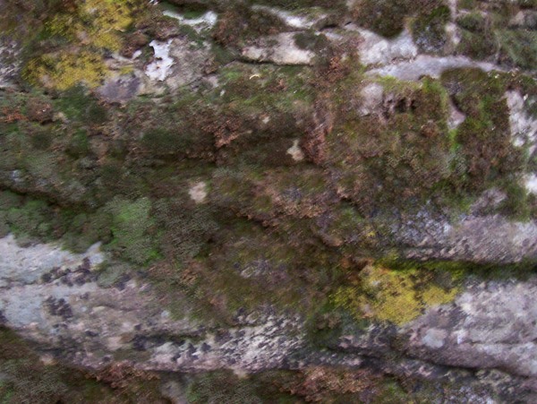 天然石头材质贴图