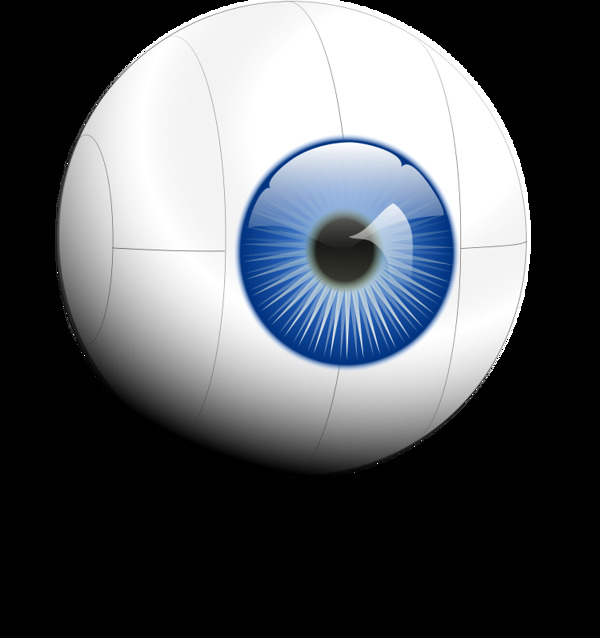 網(wǎng)絡(luò)的眼睛