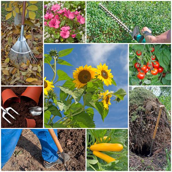 园艺工具与农作物图片