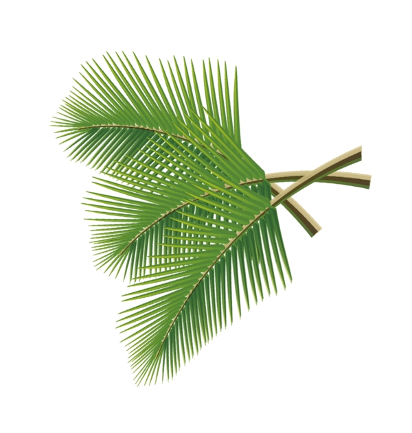 端午節(jié)綠色葉子