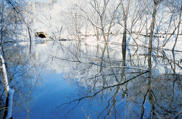 冬天自然风景图片
