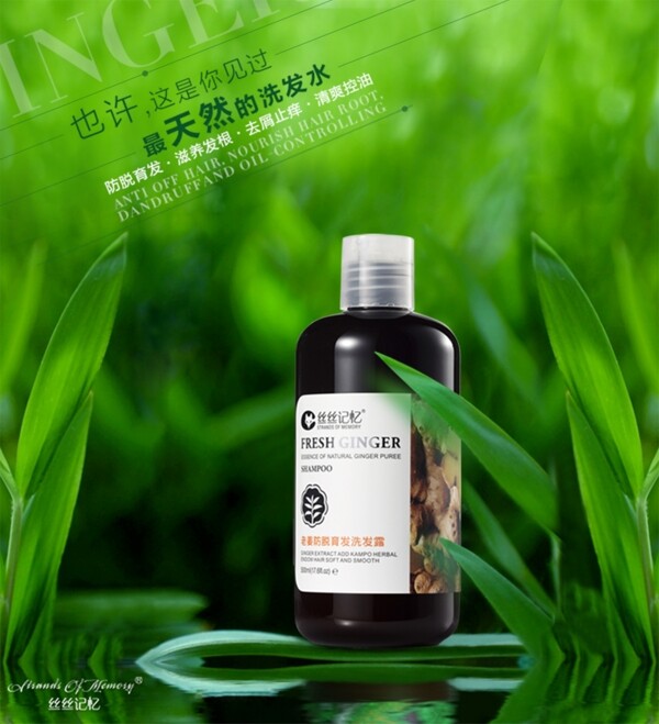 化妆品创意海报设计大图洗发水绿色植物素材