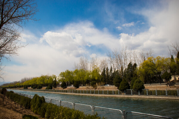 春天的护城河边风景
