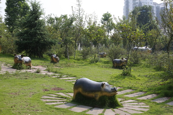 豬圖片